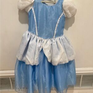 Cinderella Princess Costume